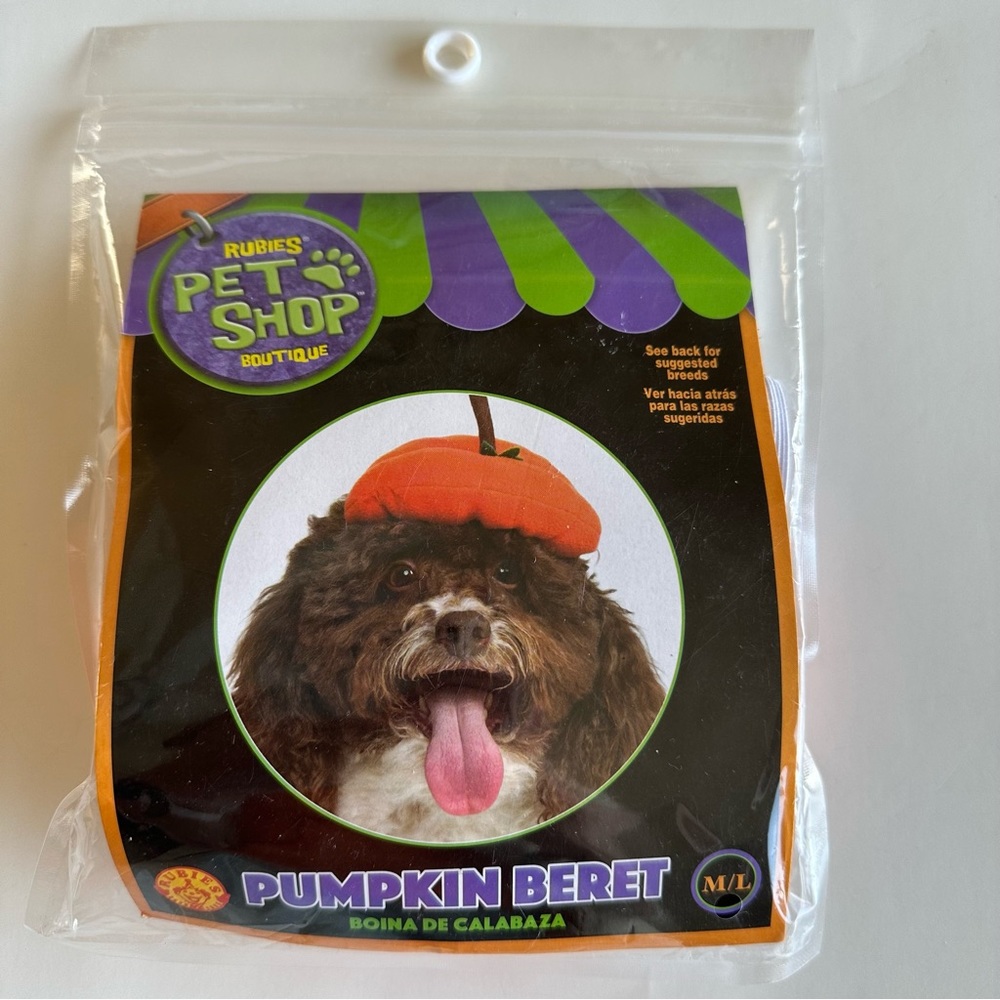 New Pumpkin Beret